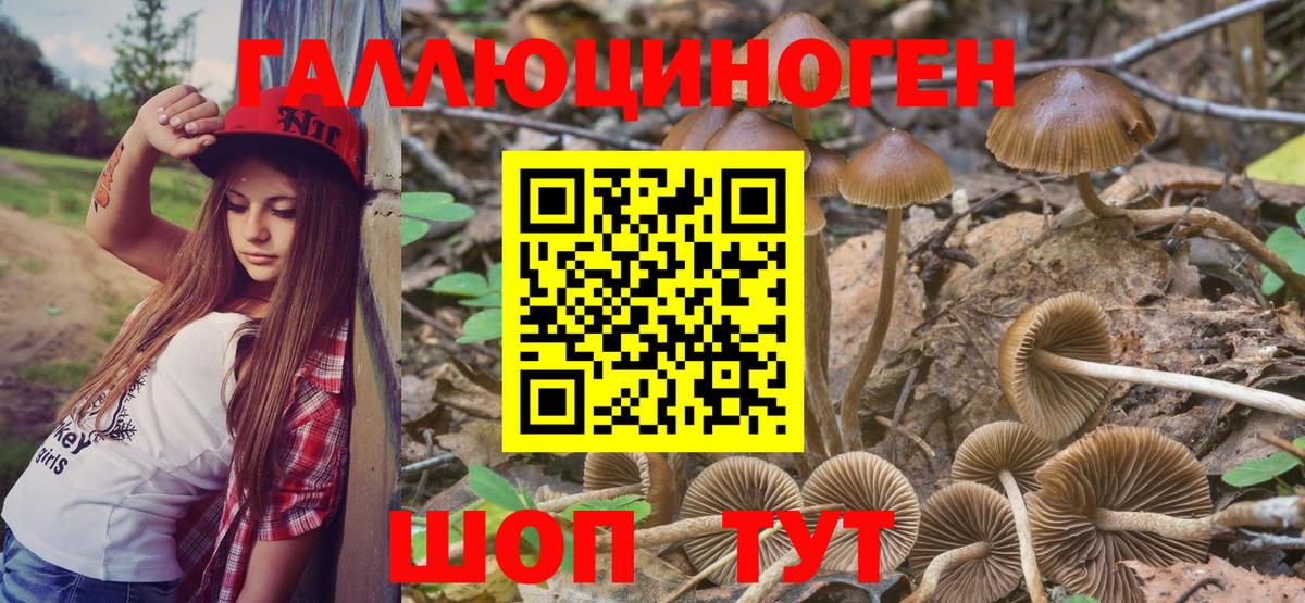 Псилоцибиновые грибы Magic Shrooms Кстово