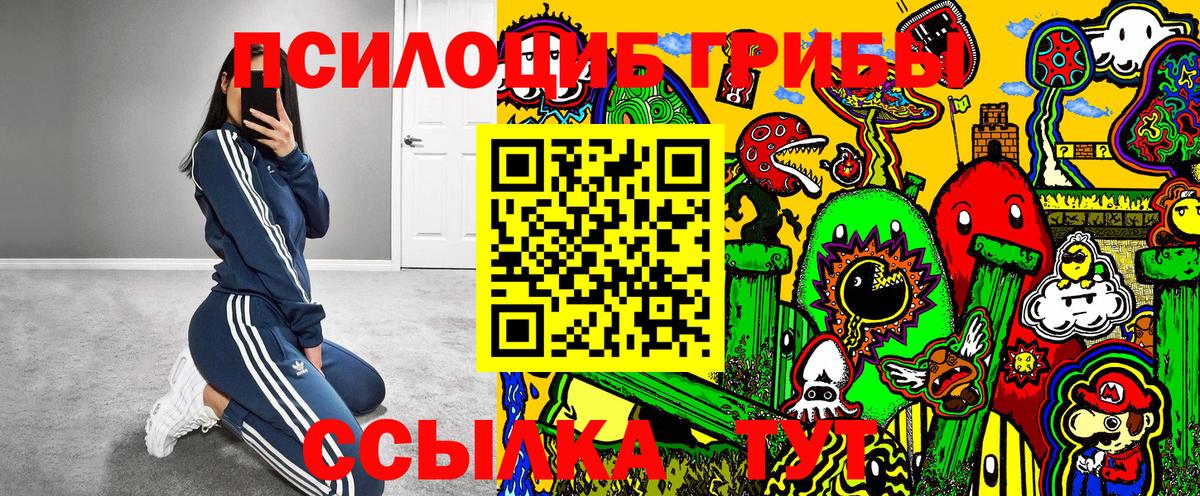 Галлюциногенные грибы ЛСД  Галлюциногенные грибы GOLDEN TEACHER  Вход с VPN  Кстово 